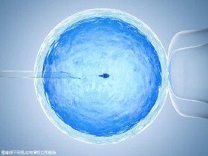 女同伴侣借卵代怀试管婴儿中心
